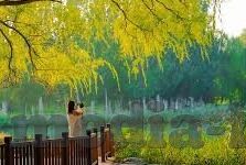 艾秋麻豆果冻传媒-艾秋麻豆果冻传媒,创意与艺术的交融