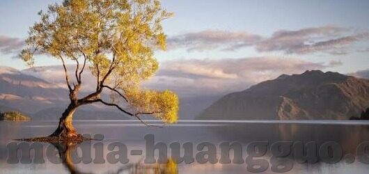 免费观看伦理片-免费伦理片，网络伦理的灰色地带