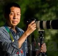 人妻被中出-家庭与情感的细腻交织，人妻的内心世界与情感探索