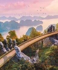 糖心直播免费版app下-糖心直播，见证娱乐新风尚的免费版应用体验